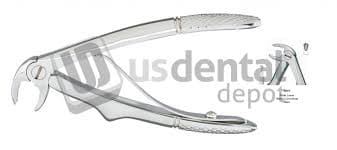 Extracting Forceps Size C Universal Pedo Ea thumbnail 5
