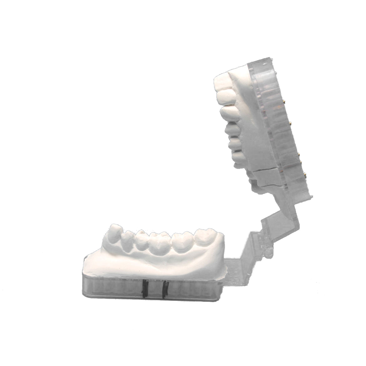 W.O.W. 2 Articulator Disposable 50/Pk thumbnail 4
