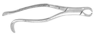 #16 Extracting Forceps product image