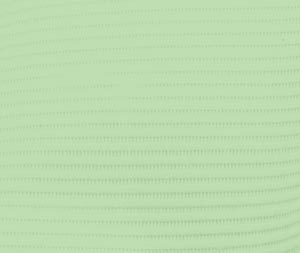 Polyback Bibs 13x19 500/Cs Green, WPXGR thumbnail 10