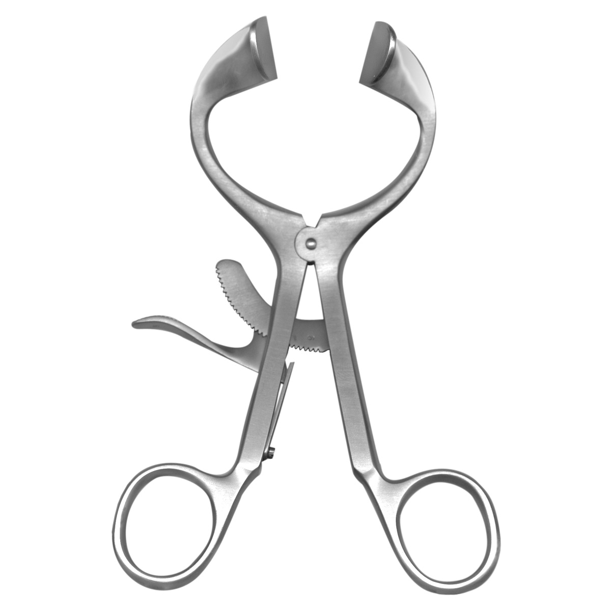 Molt Mouth Prop Adult Ea thumbnail 2