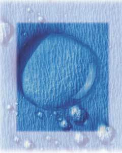 CSR Sterilization 18" x 18" 100PK image