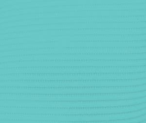 Crosstex - Extra Heavy Bib Aqua 500Cs product image