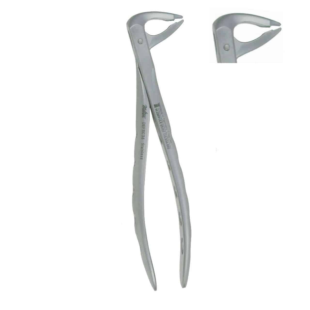 XCISION Extracting Forceps Size 36 Tapered Lower Anterior Ea thumbnail 4