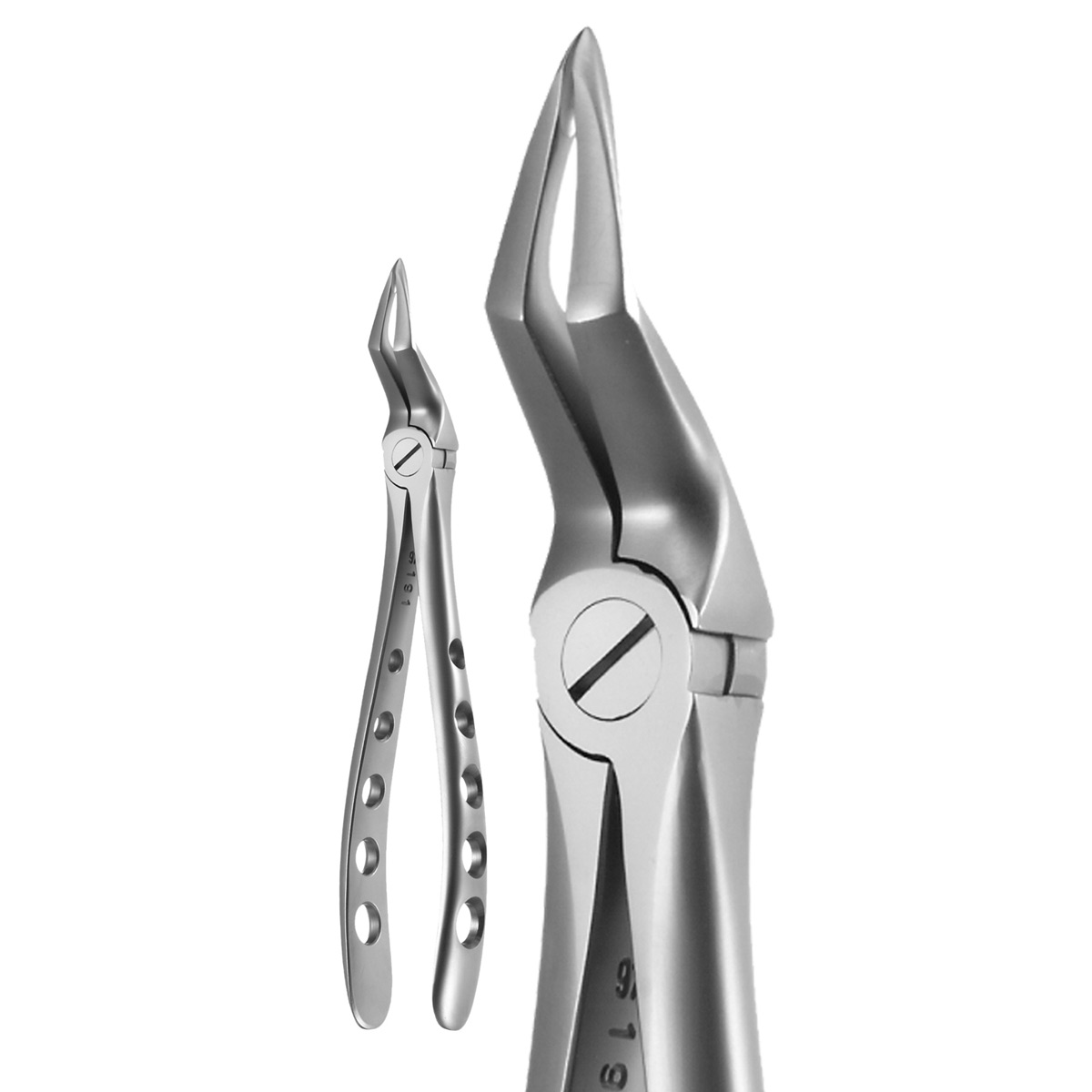 X-TRAC Extracting Forceps Size 5115 Upper Root Ea thumbnail 5