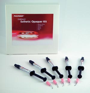 Embrace Esthetic Resin Opaquers, Light-Cure, Syringe Refill, 2.1 g, Bleach White, 1/Pk, EMO1 thumbnail 9