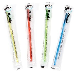 Quala Pre-Pasted Disposable Adult Toothbrushes 144Cs - Quala Pre-Pasted Disposable Adult Toothbrushes 144Cs - Image 1