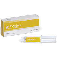 Embonte Temporary Cement 15gm Dual Barrel Syringe product image