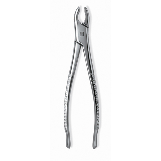 Extracting Forceps Size 150A Adult Ea thumbnail 4