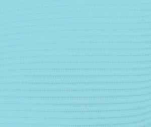 Professional Regular Bibs, 3-Ply, 13" x 19", Blue, 500/Pk, WTXBL thumbnail 8