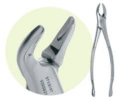Extracting Forceps Size 151 Adult Ea product image