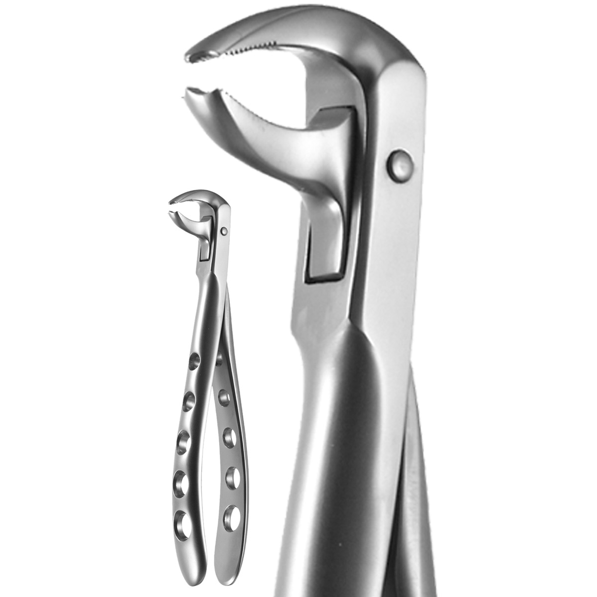 X-TRAC Extracting Forceps Size 7301 Lower Molars Ash Pattern Ea thumbnail 9