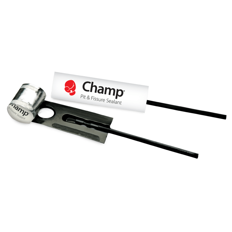 Champs Sealant Syringe 1 Gm Off White Ea thumbnail 13