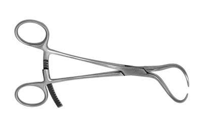 Bone Fragment Forceps 6.5" Large product image