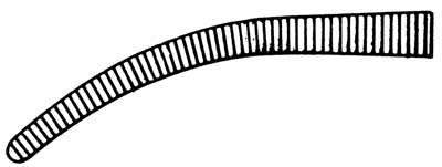 Rankin-Crile Forceps 6.25" Curved - Rankin-Crile Forceps 6.25" Curved - Image 1