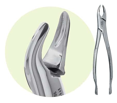 Extracting Forceps Size 150 Adult Ea thumbnail 2