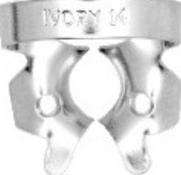 Hygenic Rubber Dam Clamp, Gloss Finish, # W14, Wingless, 1/Pk, H02774 thumbnail 9